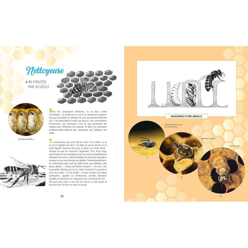 Et si tu étais une abeille ?