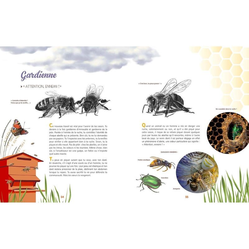 Et si tu étais une abeille ?