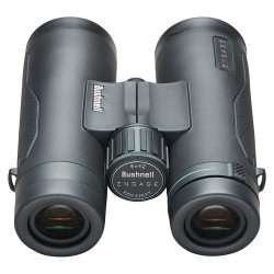 Bushnell Engage EDX 8x42mm - Jumelles Bushnell Engage EDX 8x42mm - Jumelles