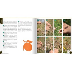 J'apprends à greffer mes arbres fruitiers et mes arbres d'ornement J'apprends à greffer mes arbres fruitiers et mes arbres d'ornement