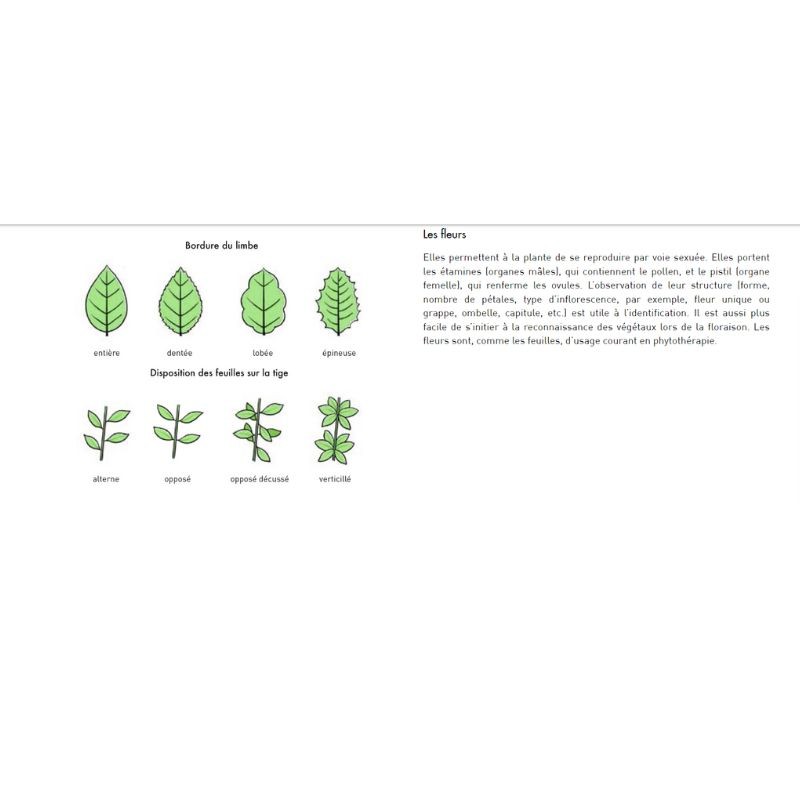 Le Petit guide des plantes médicinales - 70 espèces à découvrir Le Petit guide des plantes médicinales - 70 espèces à découvrir