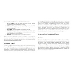 Le Petit guide des plantes médicinales - 70 espèces à découvrir Le Petit guide des plantes médicinales - 70 espèces à découvrir