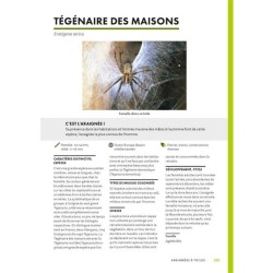 A la découverte des araignées et autres arachnides