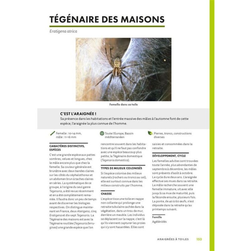 A la découverte des araignées et autres arachnides