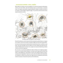 A la découverte des araignées et autres arachnides