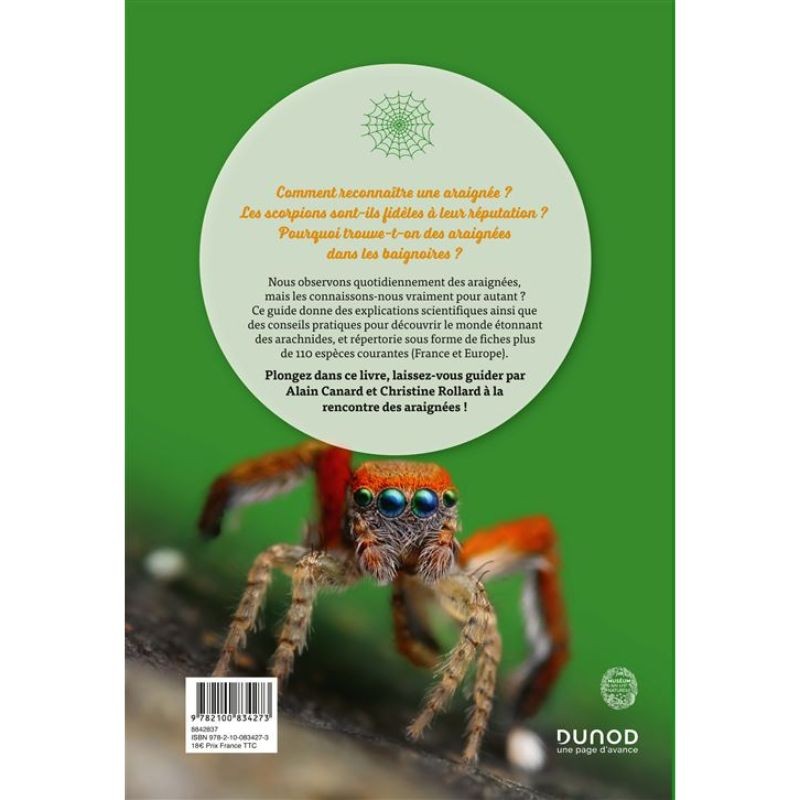 A la découverte des araignées et autres arachnides