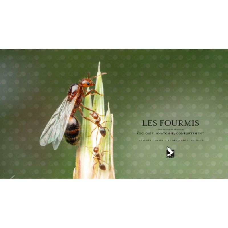 Le monde des fourmis - Ecologie, anatomie, comportement Le monde des fourmis - Ecologie, anatomie, comportement