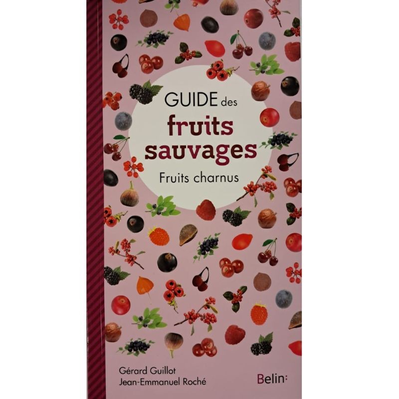 Guide des fruits sauvages - Fruits charnus