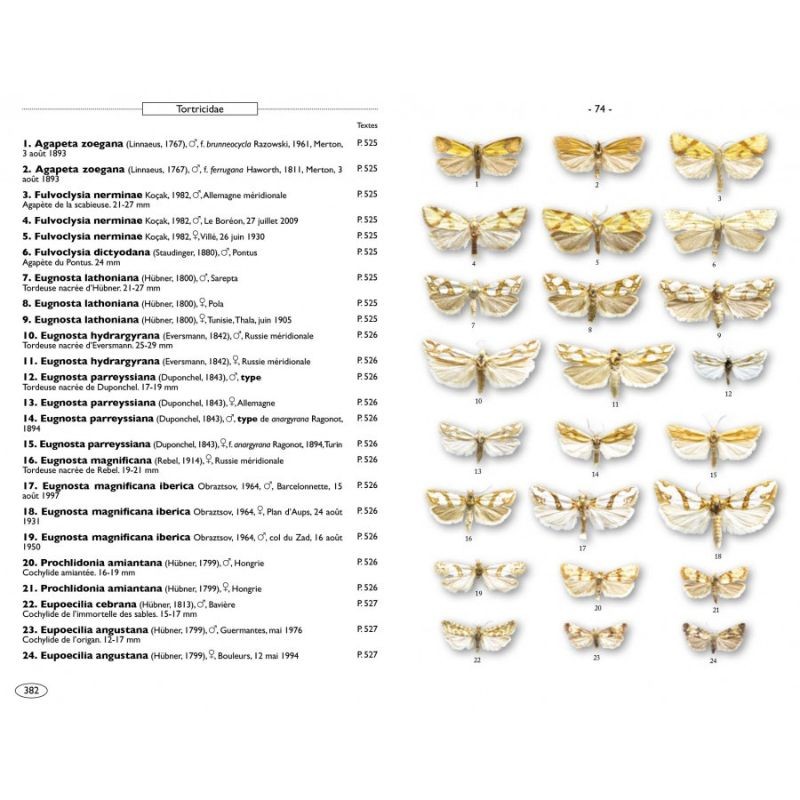 Papillons de nuit d'Europe - Volume 7 - Microlépidoptères 1 Papillons de nuit d'Europe - Volume 7 - Microlépidoptères 1