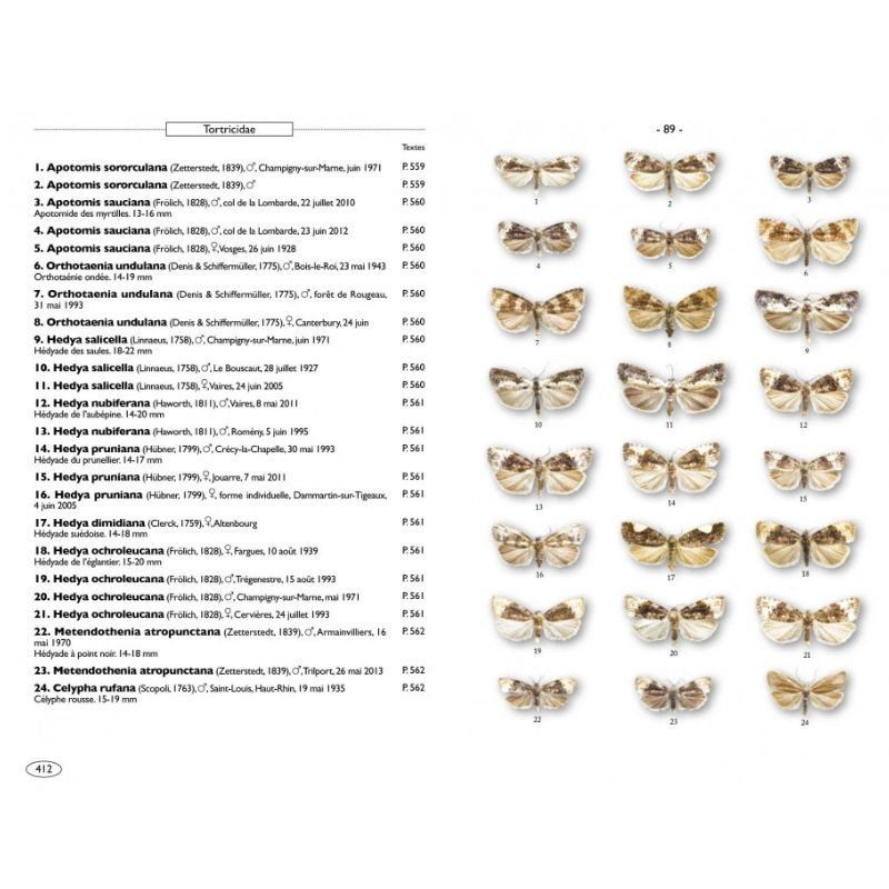 Papillons de nuit d'Europe - Volume 7 - Microlépidoptères 1 Papillons de nuit d'Europe - Volume 7 - Microlépidoptères 1