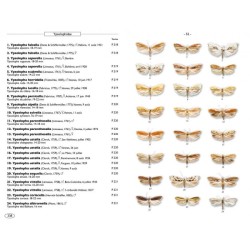 Papillons de nuit d'Europe - Volume 7 - Microlépidoptères 1 Papillons de nuit d'Europe - Volume 7 - Microlépidoptères 1