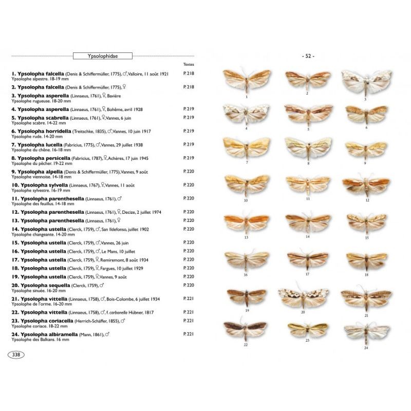 Papillons de nuit d'Europe - Volume 7 - Microlépidoptères 1 Papillons de nuit d'Europe - Volume 7 - Microlépidoptères 1