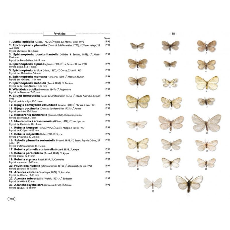 Papillons de nuit d'Europe - Volume 7 - Microlépidoptères 1 Papillons de nuit d'Europe - Volume 7 - Microlépidoptères 1