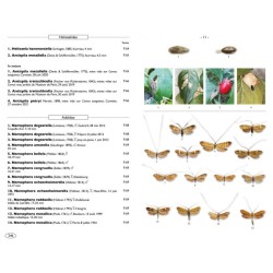Papillons de nuit d'Europe - Volume 7 - Microlépidoptères 1 Papillons de nuit d'Europe - Volume 7 - Microlépidoptères 1