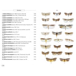 Papillons de nuit d'Europe - Volume 8 - Microlépidoptères 2 Papillons de nuit d'Europe - Volume 8 - Microlépidoptères 2