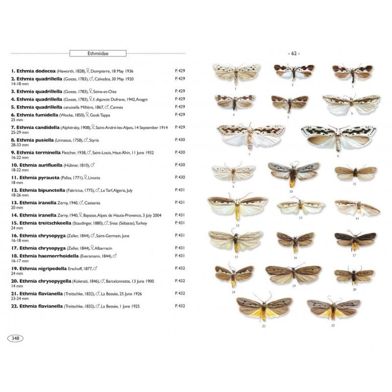 Papillons de nuit d'Europe - Volume 8 - Microlépidoptères 2 Papillons de nuit d'Europe - Volume 8 - Microlépidoptères 2
