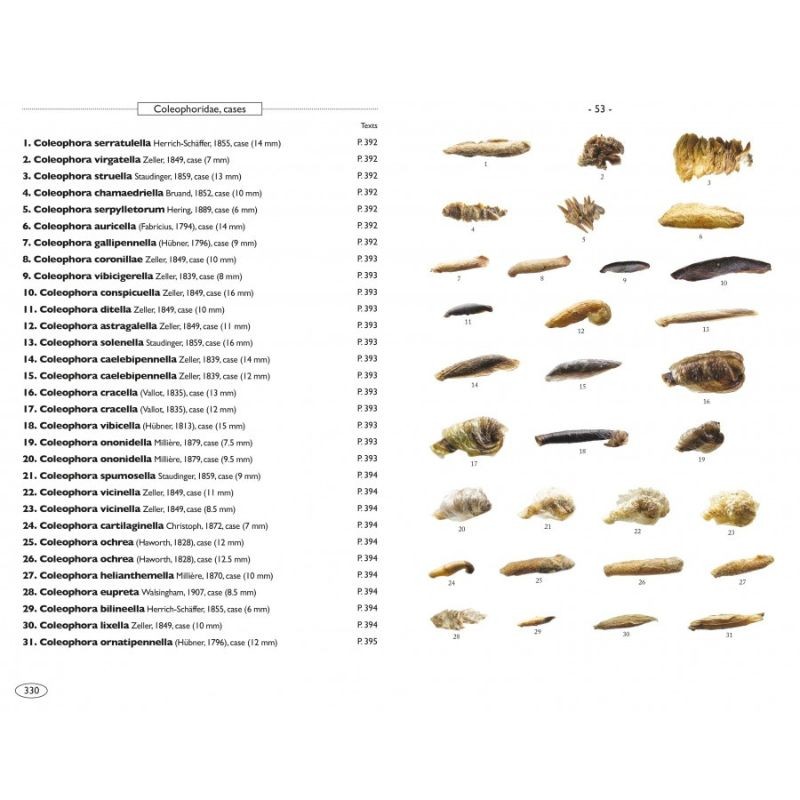Papillons de nuit d'Europe - Volume 8 - Microlépidoptères 2 Papillons de nuit d'Europe - Volume 8 - Microlépidoptères 2