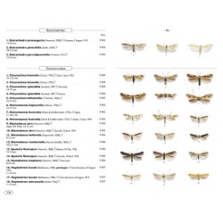 Papillons de nuit d'Europe - Volume 8 - Microlépidoptères 2 Papillons de nuit d'Europe - Volume 8 - Microlépidoptères 2
