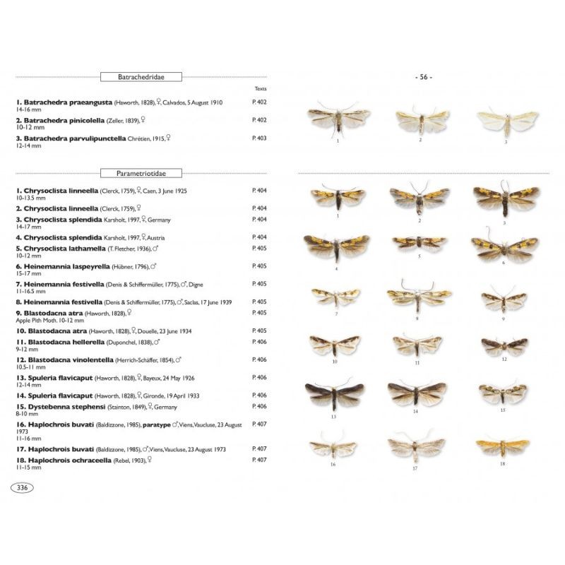 Papillons de nuit d'Europe - Volume 8 - Microlépidoptères 2 Papillons de nuit d'Europe - Volume 8 - Microlépidoptères 2