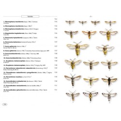 Papillons de nuit d'Europe - Volume 8 - Microlépidoptères 2 Papillons de nuit d'Europe - Volume 8 - Microlépidoptères 2