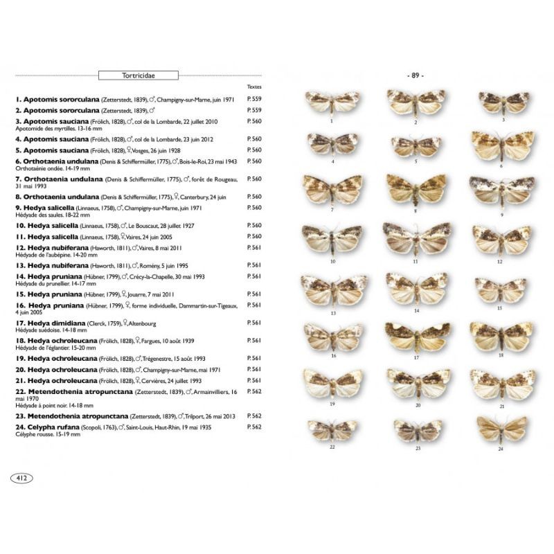 Papillons de nuit d'Europe - Volume 8 - Microlépidoptères 2 Papillons de nuit d'Europe - Volume 8 - Microlépidoptères 2
