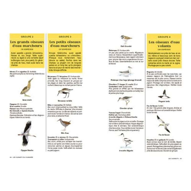Les carnets du scarabée - Oiseaux Les carnets du scarabée - Oiseaux