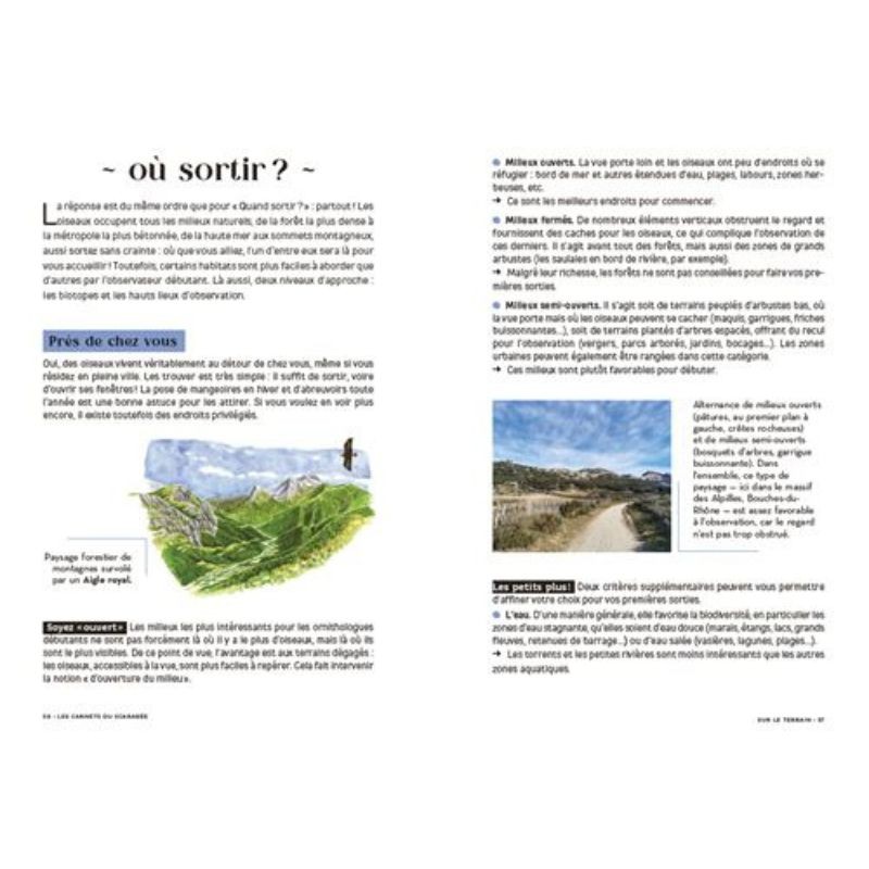 Les carnets du scarabée - Oiseaux Les carnets du scarabée - Oiseaux