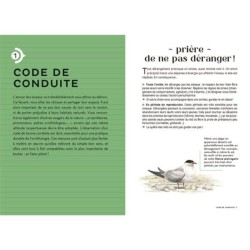 Les carnets du scarabée - Oiseaux Les carnets du scarabée - Oiseaux