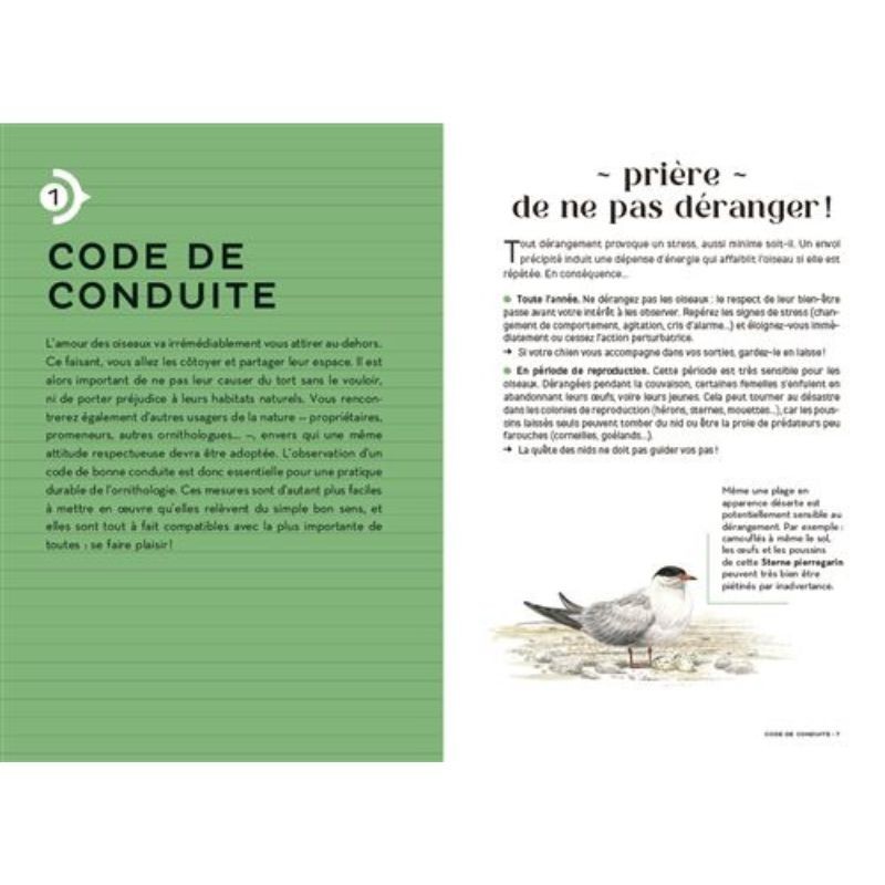 Les carnets du scarabée - Oiseaux Les carnets du scarabée - Oiseaux