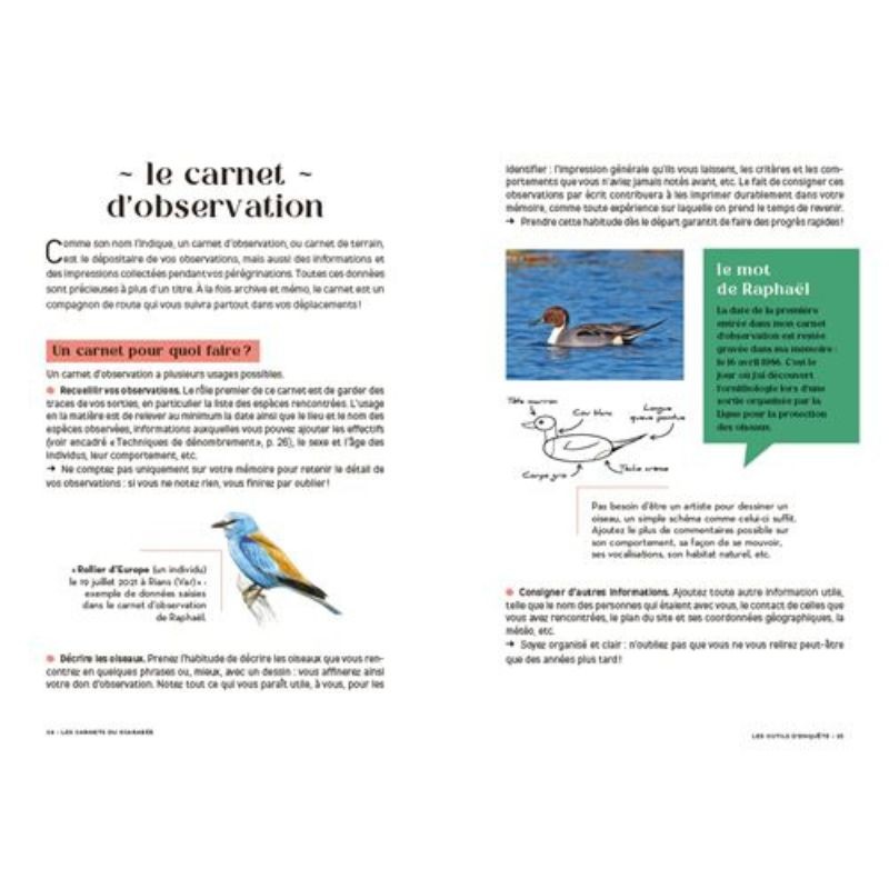 Les carnets du scarabée - Oiseaux Les carnets du scarabée - Oiseaux