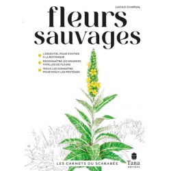 Les carnets du scarabée - Fleurs sauvages Les carnets du scarabée - Fleurs sauvages