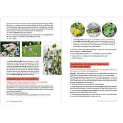 Les carnets du scarabée - Fleurs sauvages Les carnets du scarabée - Fleurs sauvages