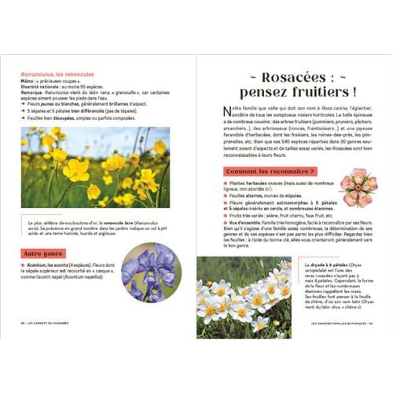 Les carnets du scarabée - Fleurs sauvages Les carnets du scarabée - Fleurs sauvages