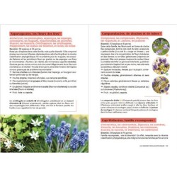 Les carnets du scarabée - Fleurs sauvages Les carnets du scarabée - Fleurs sauvages