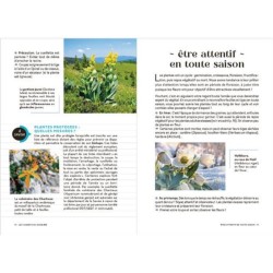 Les carnets du scarabée - Fleurs sauvages Les carnets du scarabée - Fleurs sauvages