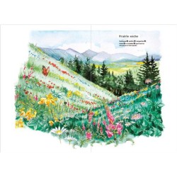 Les carnets du scarabée - Fleurs sauvages Les carnets du scarabée - Fleurs sauvages