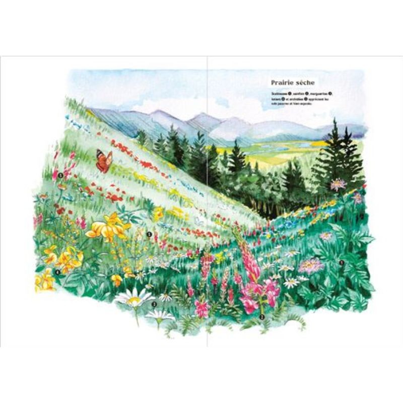 Les carnets du scarabée - Fleurs sauvages Les carnets du scarabée - Fleurs sauvages