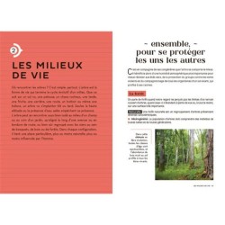 Les carnets du scarabée - Arbres Les carnets du scarabée - Arbres