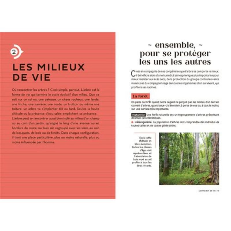 Les carnets du scarabée - Arbres Les carnets du scarabée - Arbres
