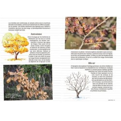 Les carnets du scarabée - Arbres Les carnets du scarabée - Arbres