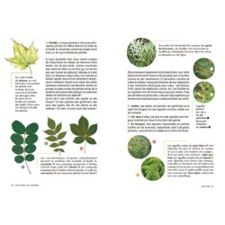 Les carnets du scarabée - Arbres Les carnets du scarabée - Arbres