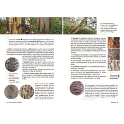Les carnets du scarabée - Arbres Les carnets du scarabée - Arbres