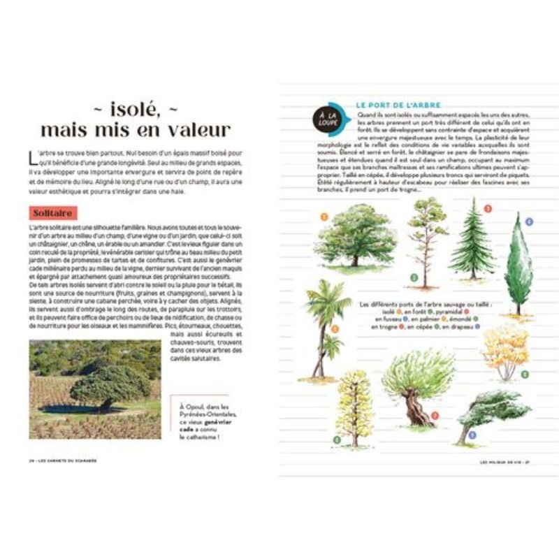 Les carnets du scarabée - Arbres Les carnets du scarabée - Arbres
