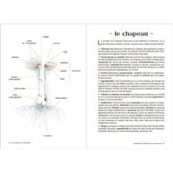 Les carnets du scarabée - Géologie Les carnets du scarabée - Géologie