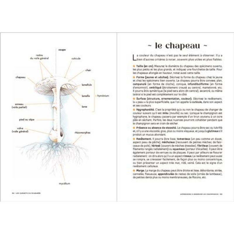 Les carnets du scarabée - Géologie Les carnets du scarabée - Géologie