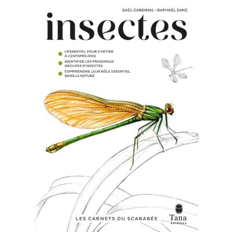 Les carnets du scarabée - Insectes