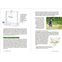 Les carnets du scarabée - Insectes