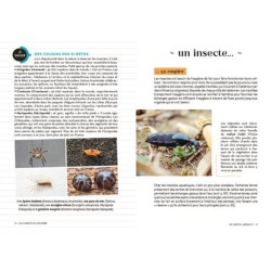 Les carnets du scarabée - Insectes