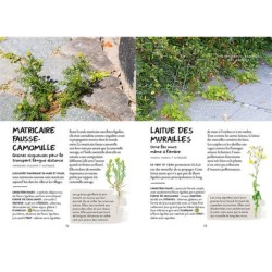 Qu'est-ce qui pousse dans ma rue ? Qu'est-ce qui pousse dans ma rue ?