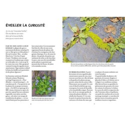 Qu'est-ce qui pousse dans ma rue ? Qu'est-ce qui pousse dans ma rue ?